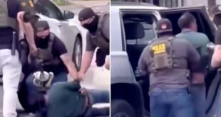 The brutal arrest of a Mexican gardener shocks California: the American dream became the terror of migrants